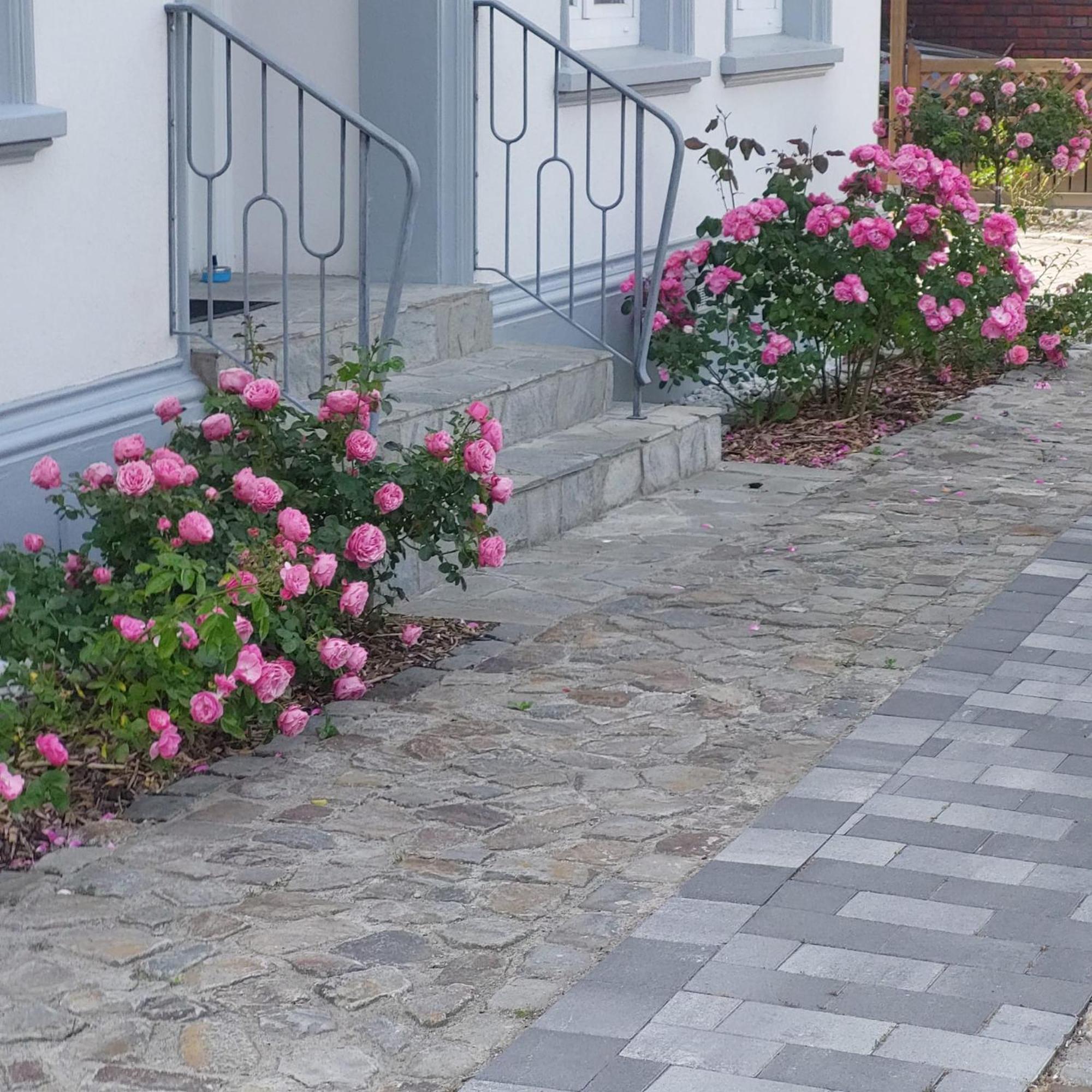 Privatunterkunft Im Erdgeschoss Nordenham Bagian luar foto